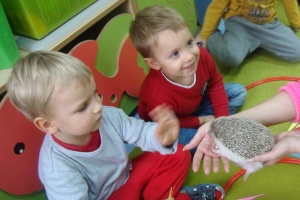 MAŁY JEŻYK I ŻABKI