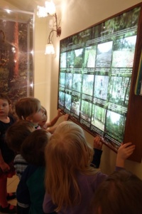 LEŚNA SALKA EDUKACYJNA