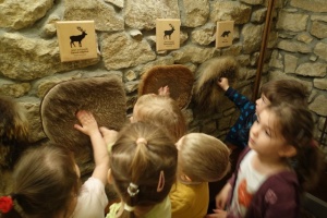 LEŚNA SALKA EDUKACYJNA