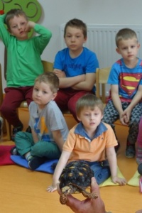 WĘŻE, LEGWANY, KAMELEONY