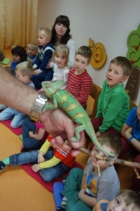 WĘŻE, LEGWANY, KAMELEONY