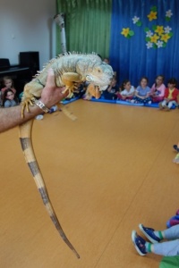 WĘŻE, LEGWANY, KAMELEONY