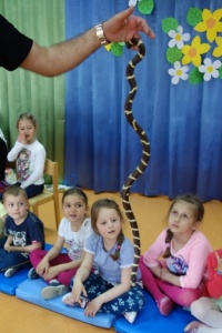 WĘŻE, LEGWANY, KAMELEONY