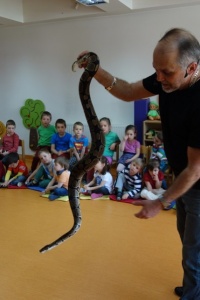 WĘŻE, LEGWANY, KAMELEONY