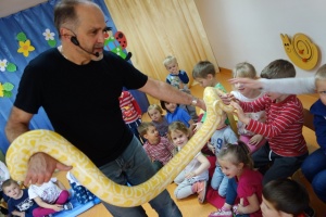 WĘŻE, LEGWANY, KAMELEONY