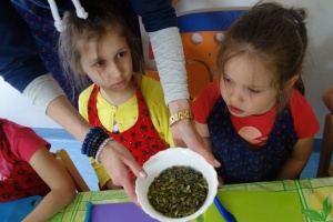 WIEMY CO JEMY - ZDROWO ŻYJEMY