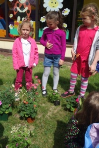 MALI OGRODNICY