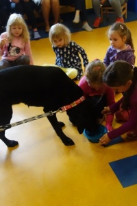 DOGOTERAPIA