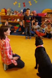 DOGOTERAPIA