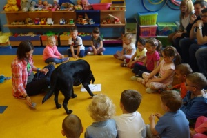 DOGOTERAPIA