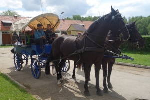 WYCIECZKA DO STADNINY KONI