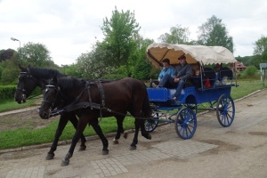 WYCIECZKA DO STADNINY KONI