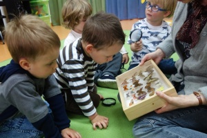 W ŚWIECIE OWADÓW