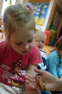 W ŚWIECIE OWADÓW