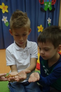 W ŚWIECIE OWADÓW