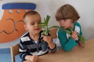 LEMONIADA DLA MAMUSI