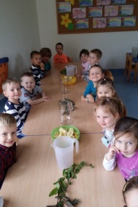 LEMONIADA DLA MAMUSI