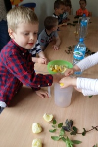 LEMONIADA DLA MAMUSI