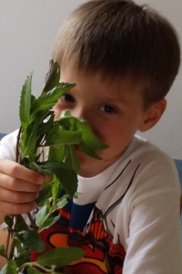 LEMONIADA DLA MAMUSI