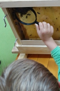 OD KWIATKA DO MIODU