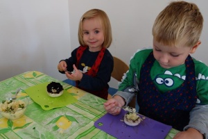 PIECZARKOWE UFO W KUCHCIKOWIE