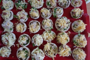 PIECZARKOWE UFO W KUCHCIKOWIE