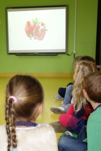 EGZOTYCZNE SMAKOŁYKI