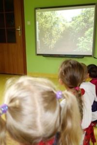 EGZOTYCZNE SMAKOŁYKI