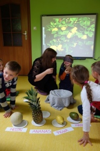 EGZOTYCZNE SMAKOŁYKI