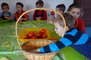 ŚWIĘTO POMIDORA