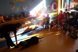 DOGOTERAPIA