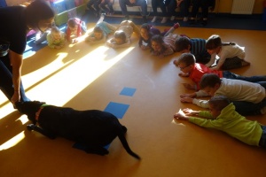DOGOTERAPIA