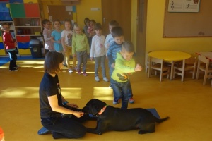 DOGOTERAPIA