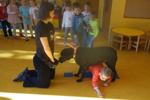 DOGOTERAPIA