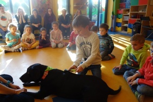 DOGOTERAPIA