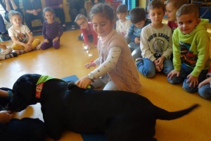 DOGOTERAPIA