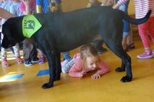DOGOTERAPIA