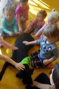 DOGOTERAPIA