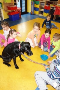 JAK ROZMAWIAĆ TRZEBA Z PSEM