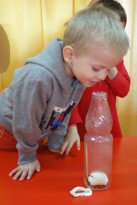 SEZAMKOWE LABORATORIUM - SEKRETY JAJKA