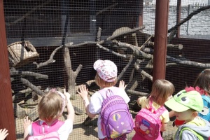 PARK PRZYGÓD I ATRAKCJI-SPOTKANIE ZE ZWIERZĄTKAMI