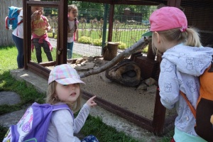 PARK PRZYGÓD I ATRAKCJI-SPOTKANIE ZE ZWIERZĄTKAMI