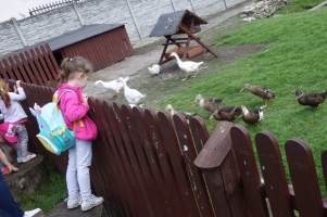 PARK PRZYGÓD I ATRAKCJI-SPOTKANIE ZE ZWIERZĄTKAMI