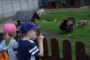 PARK PRZYGÓD I ATRAKCJI-SPOTKANIE ZE ZWIERZĄTKAMI