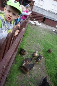 PARK PRZYGÓD I ATRAKCJI-SPOTKANIE ZE ZWIERZĄTKAMI