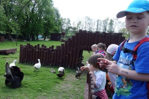 PARK PRZYGÓD I ATRAKCJI-SPOTKANIE ZE ZWIERZĄTKAMI