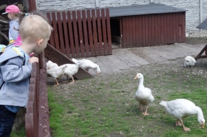 PARK PRZYGÓD I ATRAKCJI-SPOTKANIE ZE ZWIERZĄTKAMI