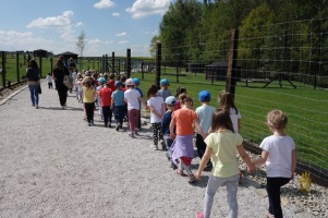 PARK PRZYGÓD I ATRAKCJI-SPOTKANIE ZE ZWIERZĄTKAMI