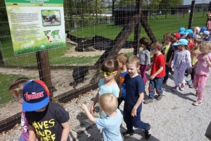 PARK PRZYGÓD I ATRAKCJI-SPOTKANIE ZE ZWIERZĄTKAMI