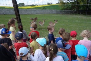 PARK PRZYGÓD I ATRAKCJI-SPOTKANIE ZE ZWIERZĄTKAMI